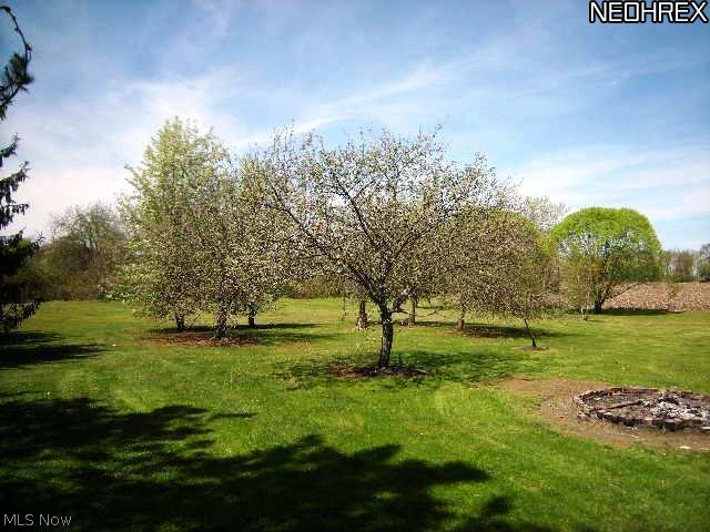 42660 Whitney Road Lagrange, OH 44050 - Photo 15 of 24 Gallery Image 15