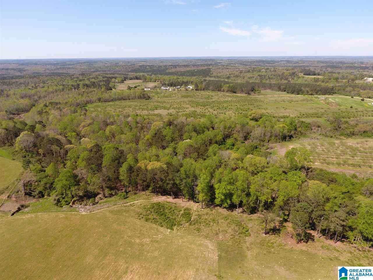 0 County Road 30, Unit 1 Clanton, AL 35045 - Photo 23 of 32