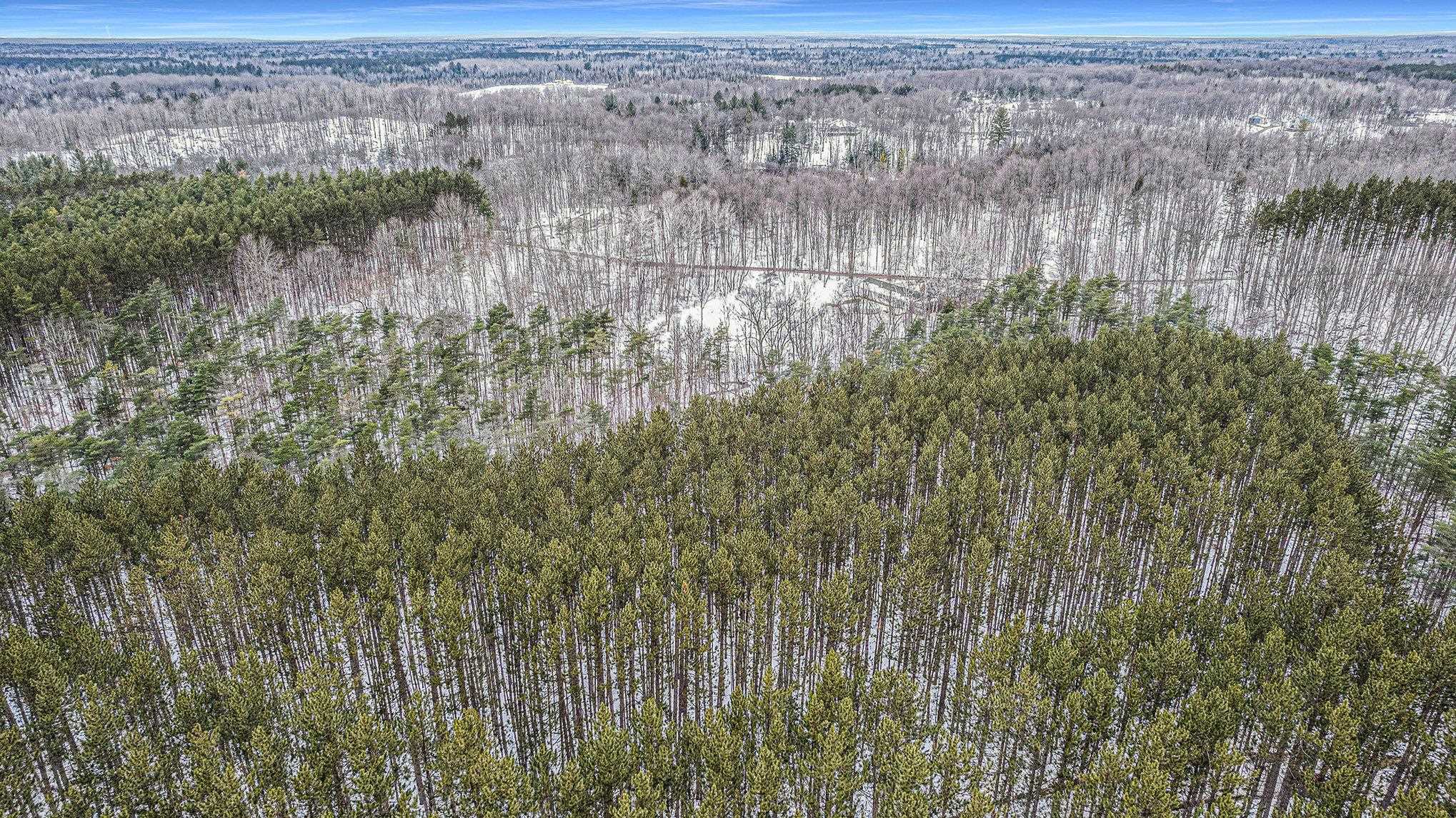 10 C Preston Road Northeast Kalkaska, MI 49646 - Photo 3 of 6