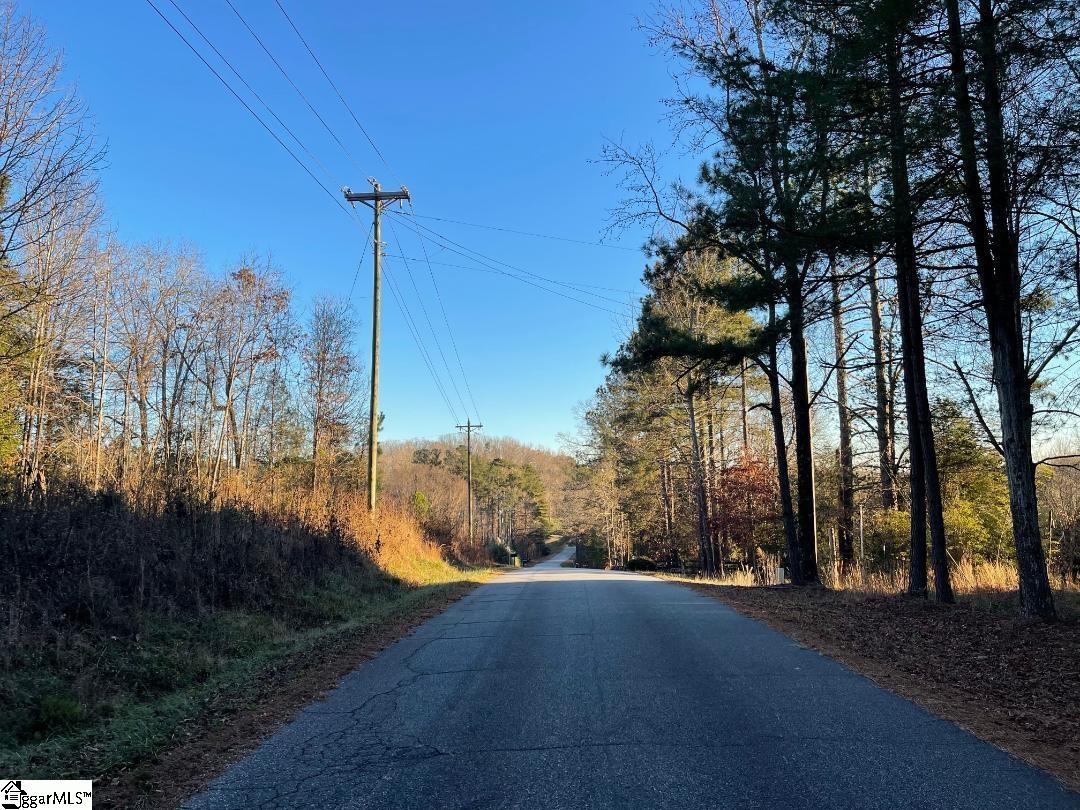 Butler Road Williamston, SC 29697 - Photo 5 of 6