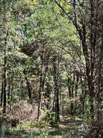 $315,000 | 106 Anna Court, Wright City, MO 63390