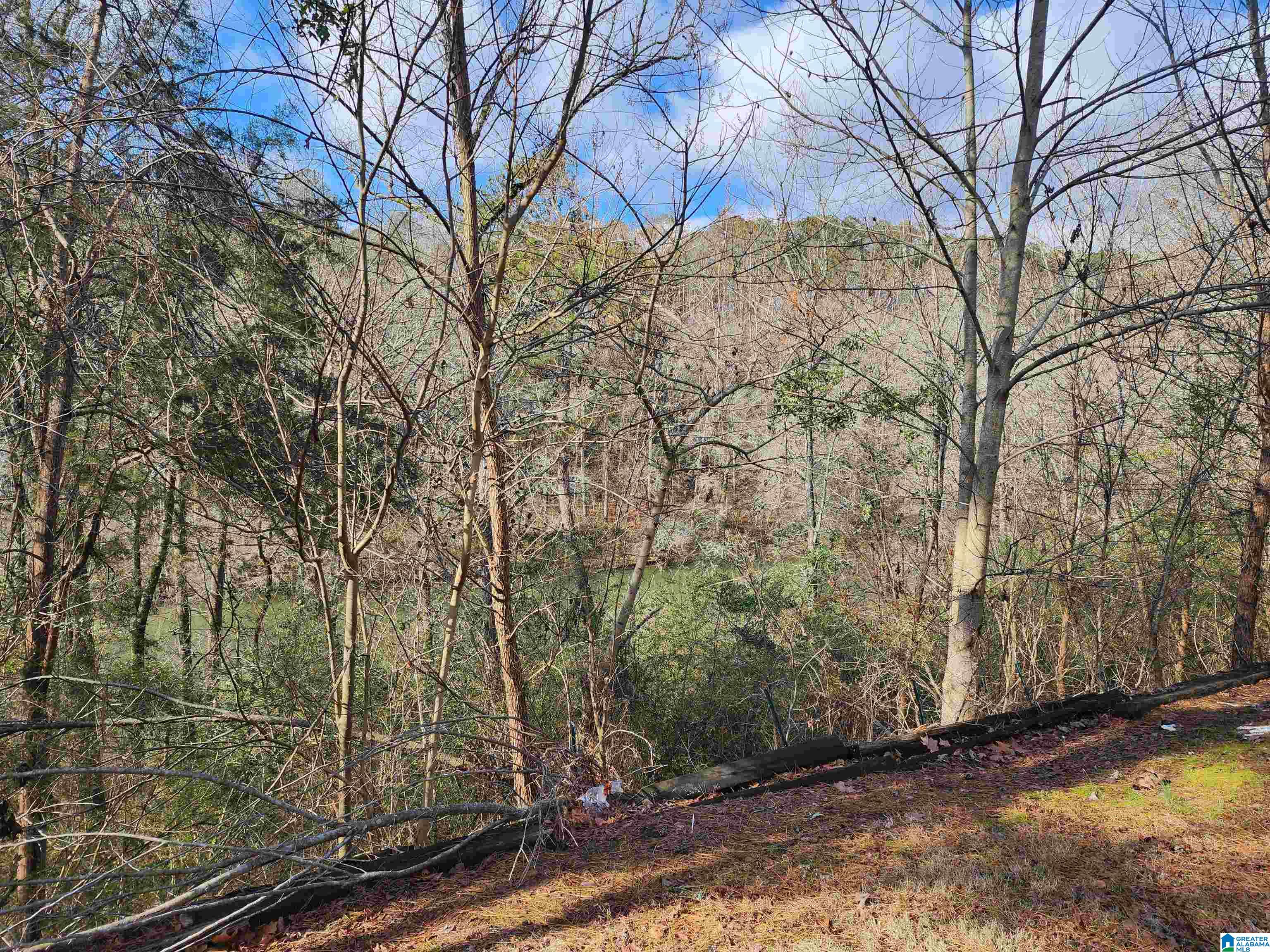 16059 Highway 160 Cleveland, AL 35049 - Photo 32 of 32