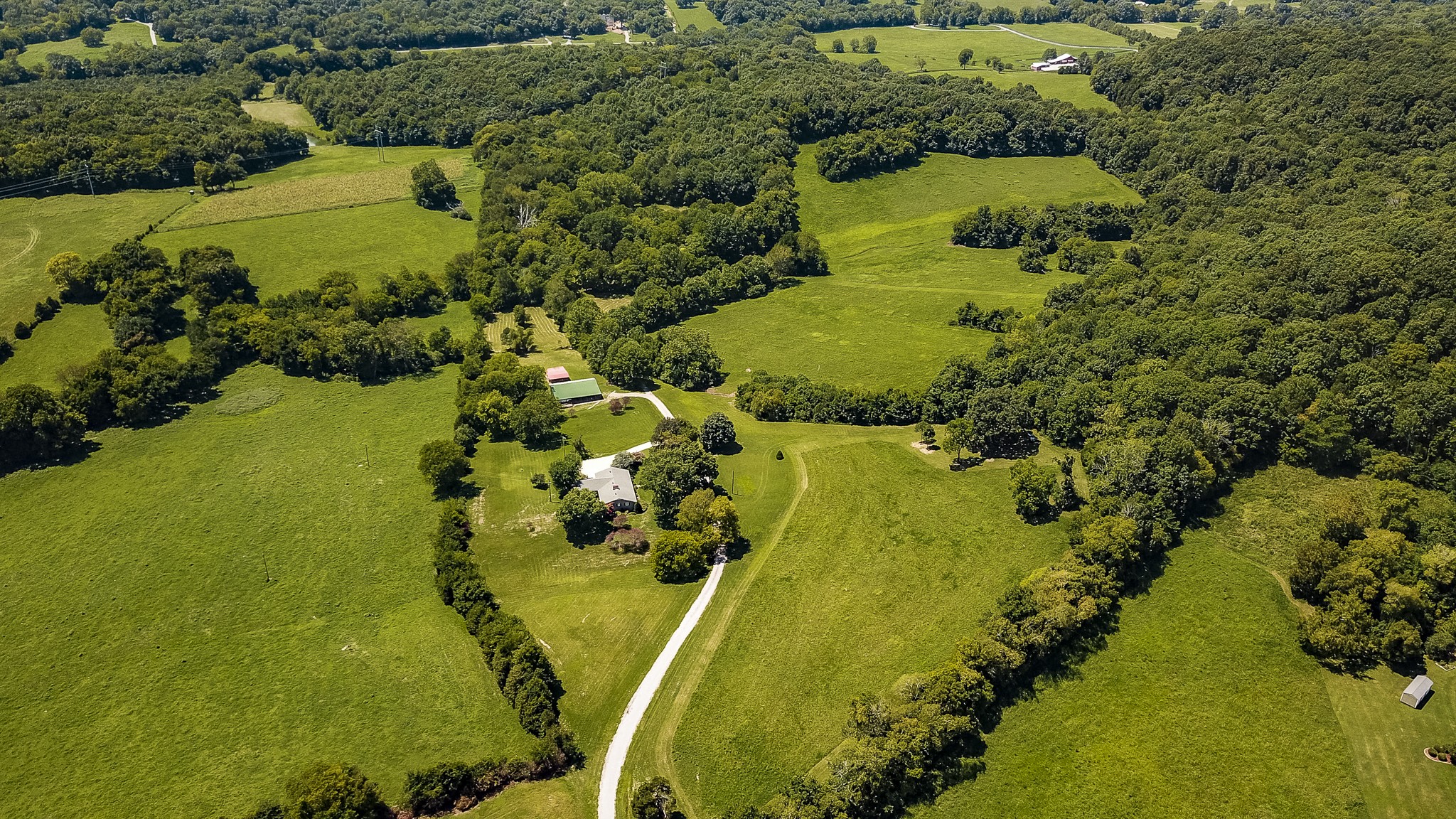355 Lindsey Hollow Road Gallatin, TN 37066 - Photo 1 of 1 a view of a yard with plants