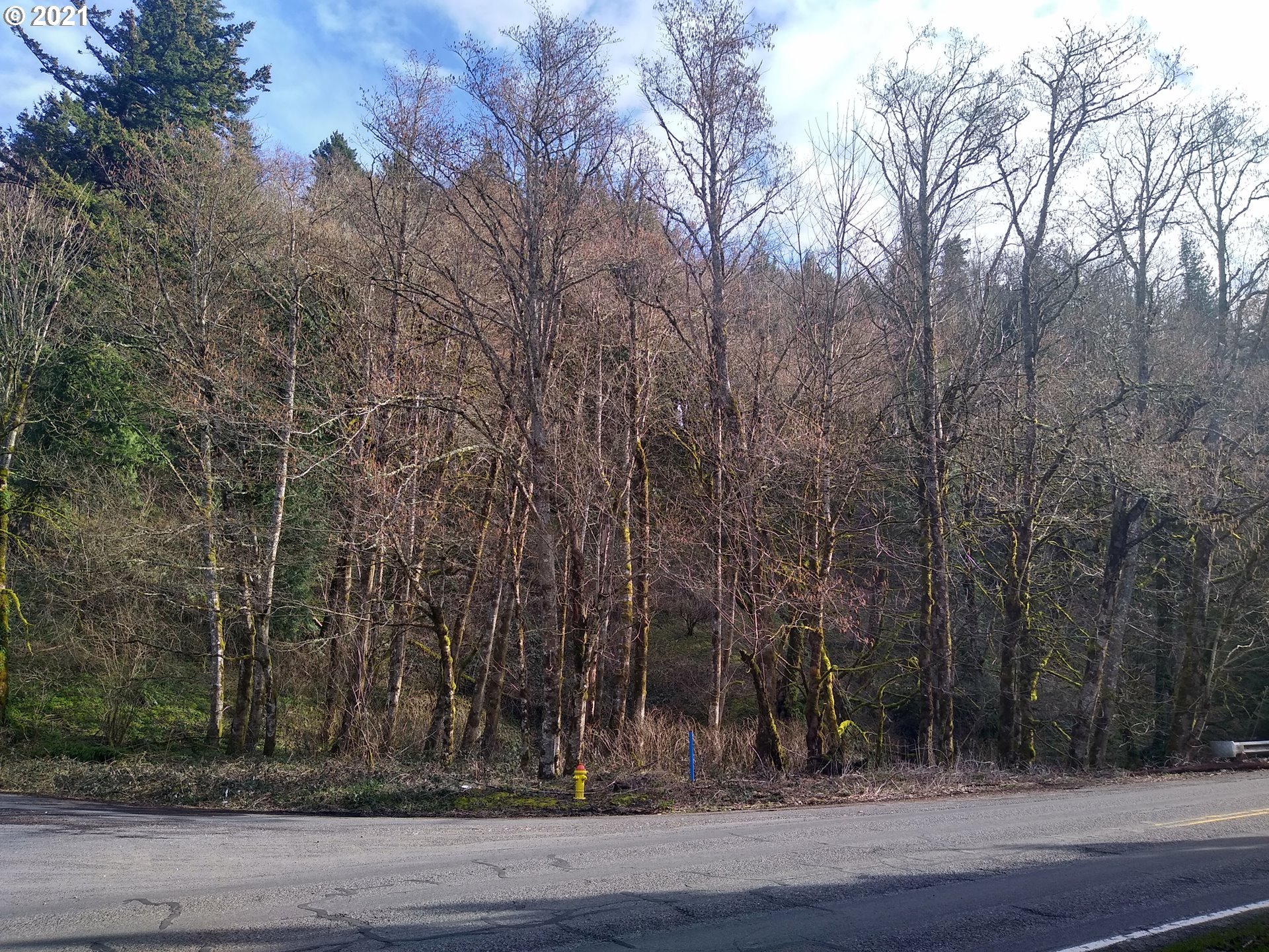 Northeast Corbett Hill Road Corbett, OR 97019 - Photo 3 of 3 Gallery Image 3