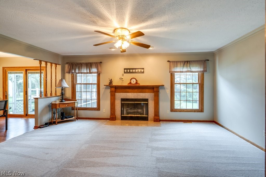 826 Stewart Road Kent, OH 44240 - Photo 19 of 43 Unfurnished living room featuring carpet flooring, a wealth of natural light, and a tiled fireplace