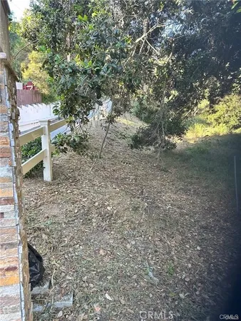 a view of a yard with plants