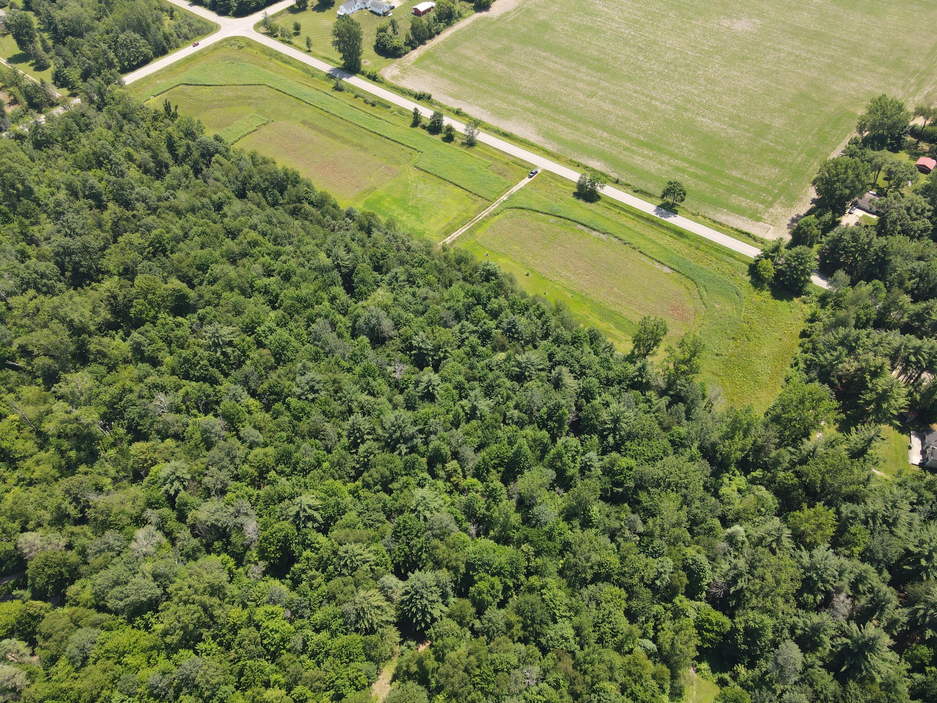 -vl Brown Road Vassar, MI 48768 - Photo 4 of 31 DJI_0508