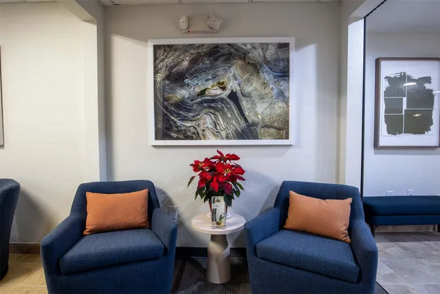 $1,151 | 8719 Farm Market 1960 West Road, Unit 219, Houston, TX 77065