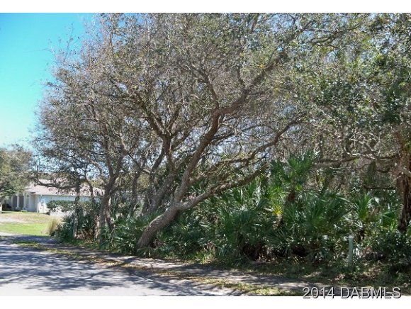 67 Inlet Point Boulevard Ponce Inlet, FL 32127 - Photo 3 of 17 Additional Photo