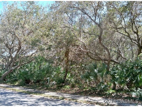 67 Inlet Point Boulevard Ponce Inlet, FL 32127 - Photo 4 of 17 Additional Photo