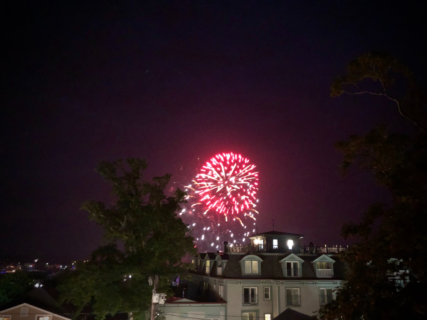 12 Spring Street Vineyard Haven, MA 02568 - Photo 3 of 40 a large tree in a yard