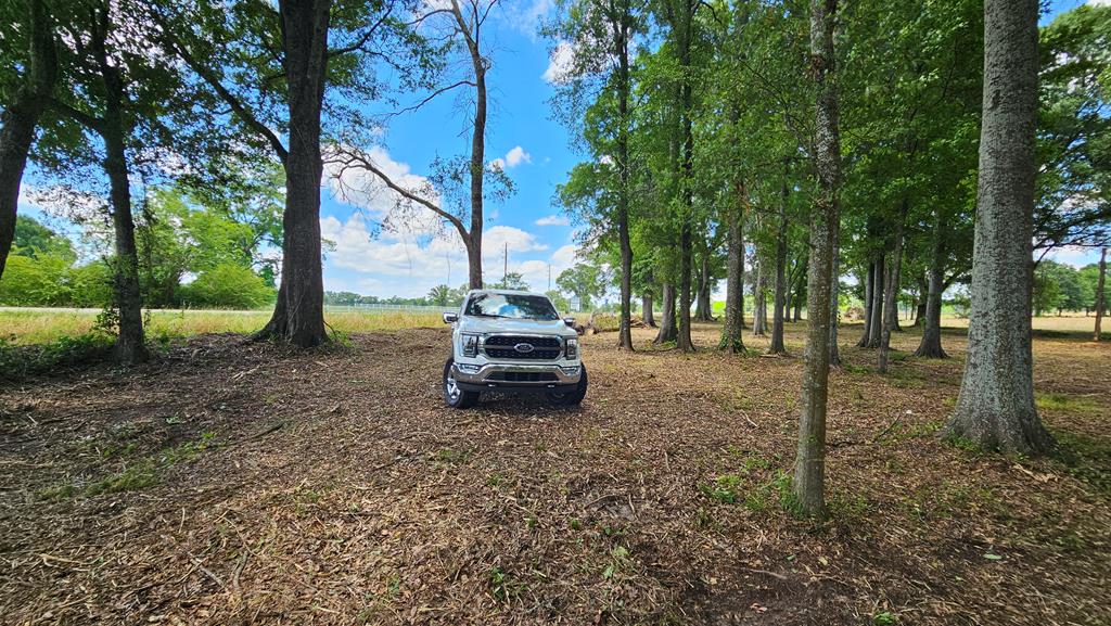 92 County Road 92 Slocomb, AL 36375 - Photo 39 of 58