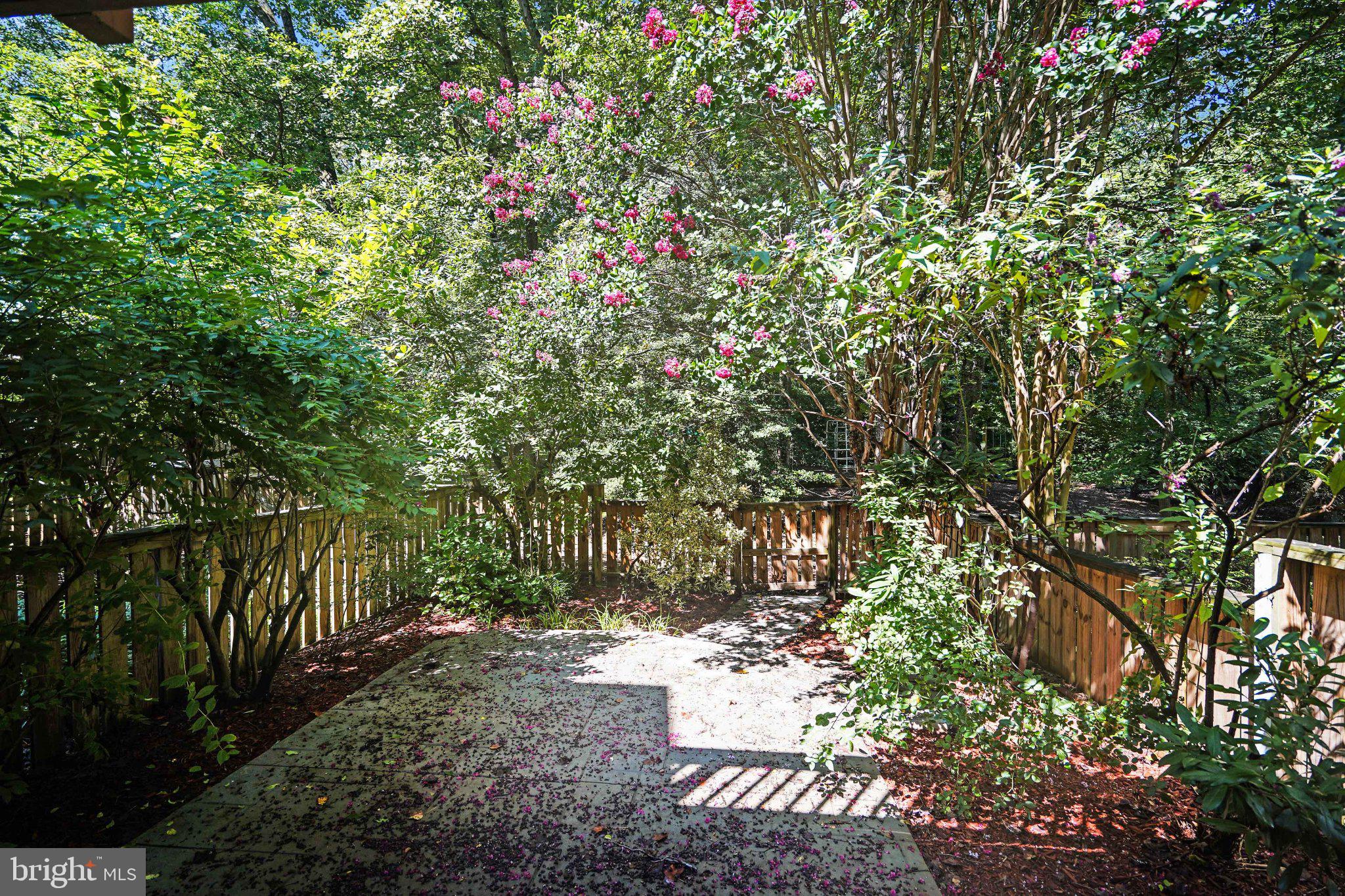 2382 Generation Drive Reston, VA 20191 - Photo 34 of 49 Serene garden retreat with vibrant blooms.