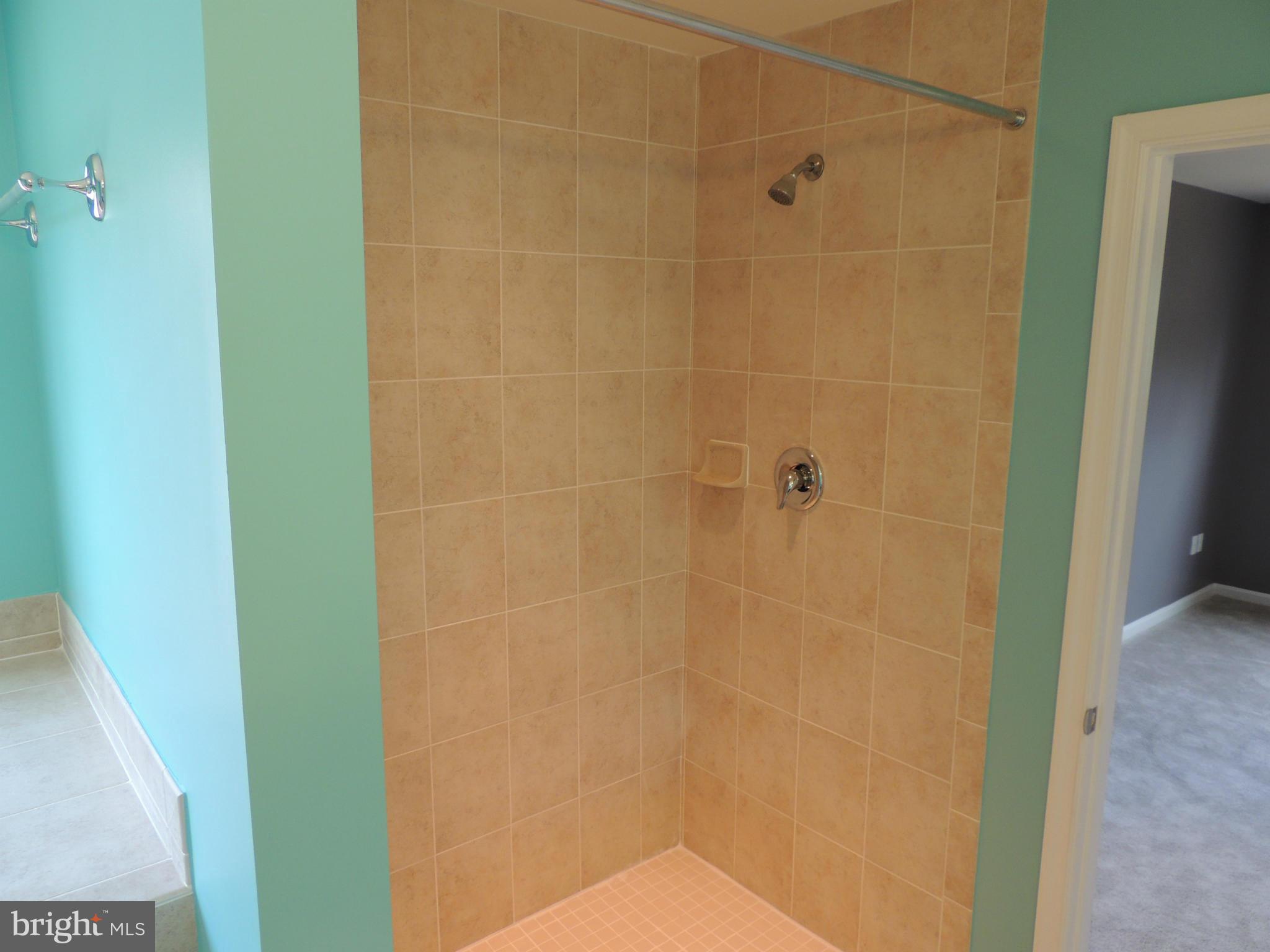 6136 Owings Beach Road Deale, MD 20751 - Photo 14 of 24 Bath (Master)