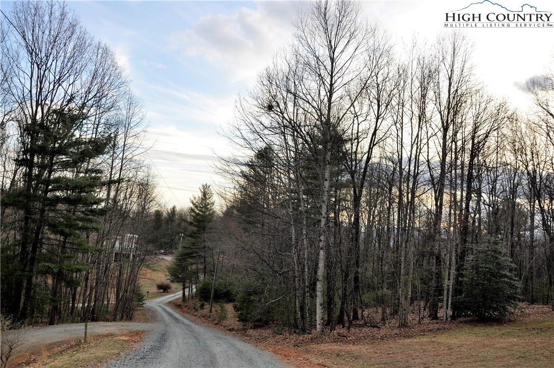 Country Road Deep Gap, NC 28618 - Photo 1 of 11 a view of a forest with trees in front of the house