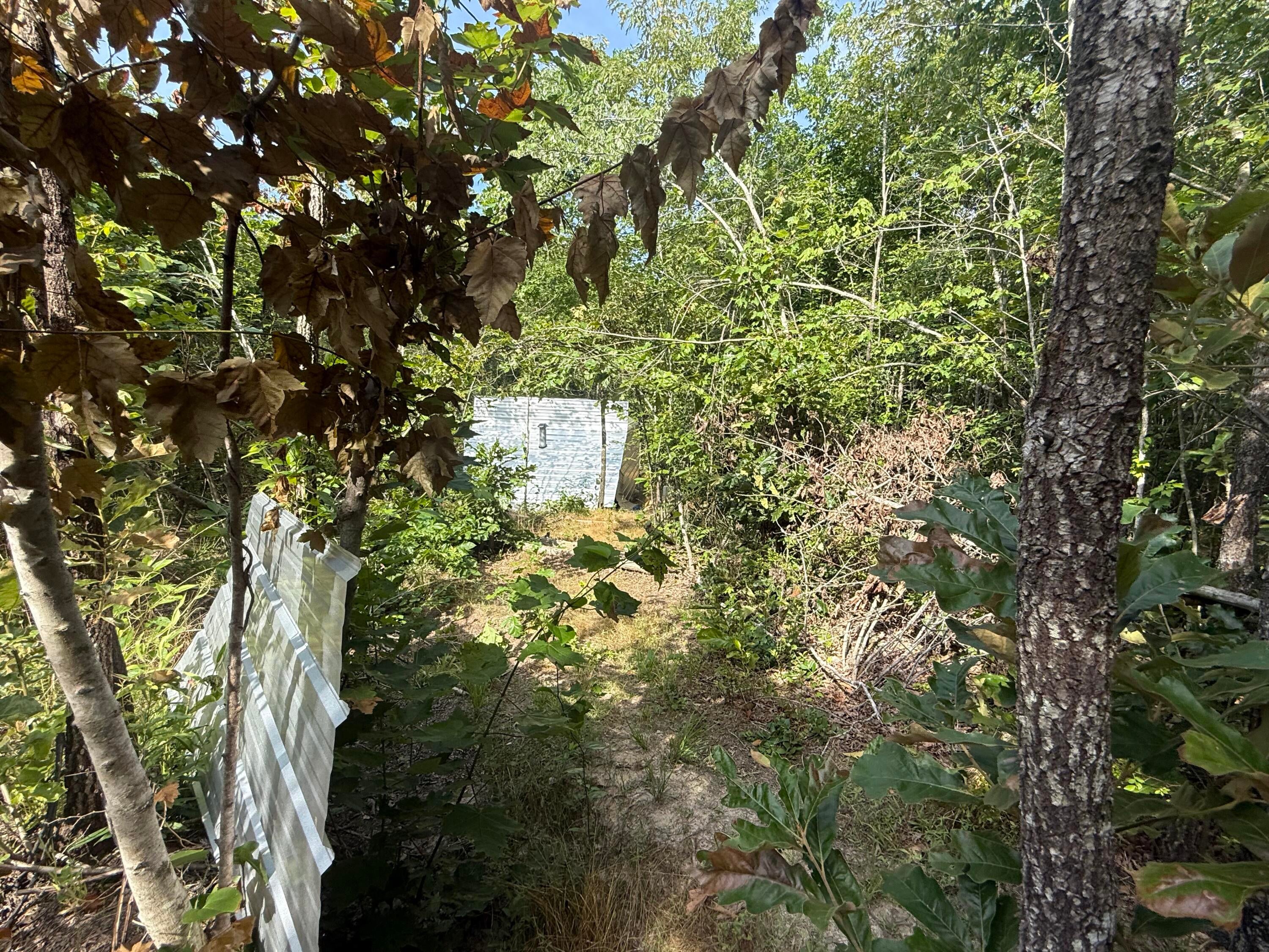 2275 Graham Road Thaxton, MS 38871 - Photo 10 of 17 Gallery Image 10