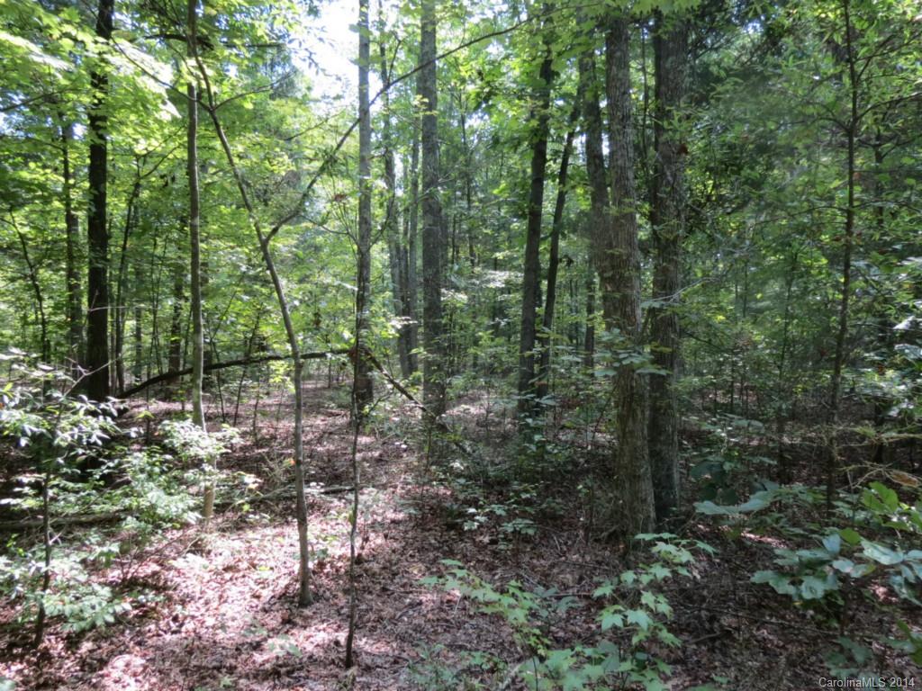 4 Griggs Road Clover, SC 29710 - Photo 11 of 16