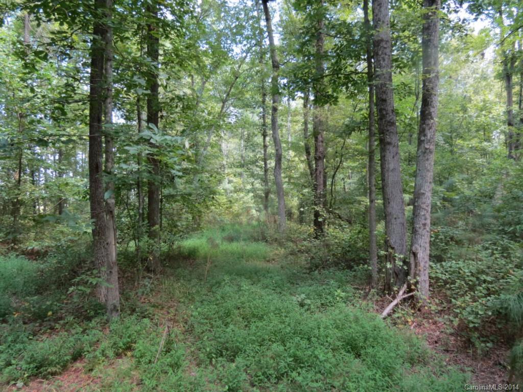 4 Griggs Road Clover, SC 29710 - Photo 12 of 16