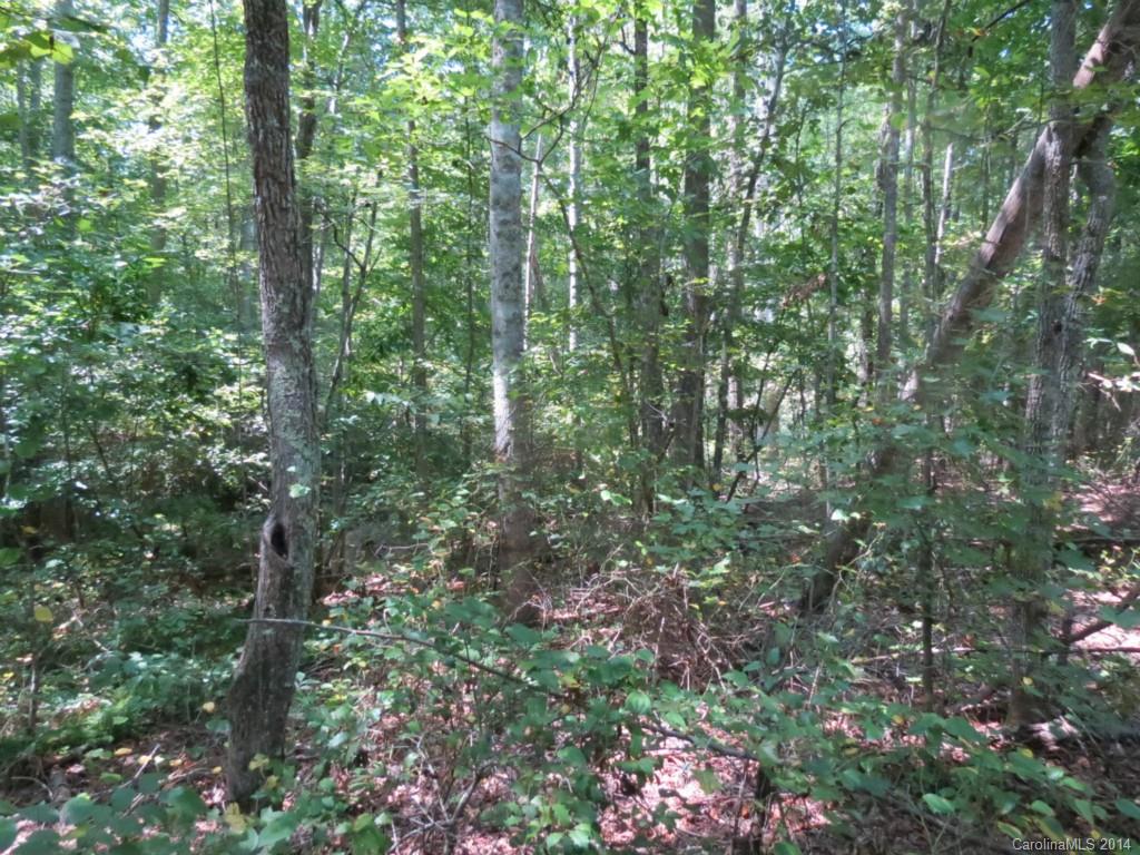 4 Griggs Road Clover, SC 29710 - Photo 13 of 16