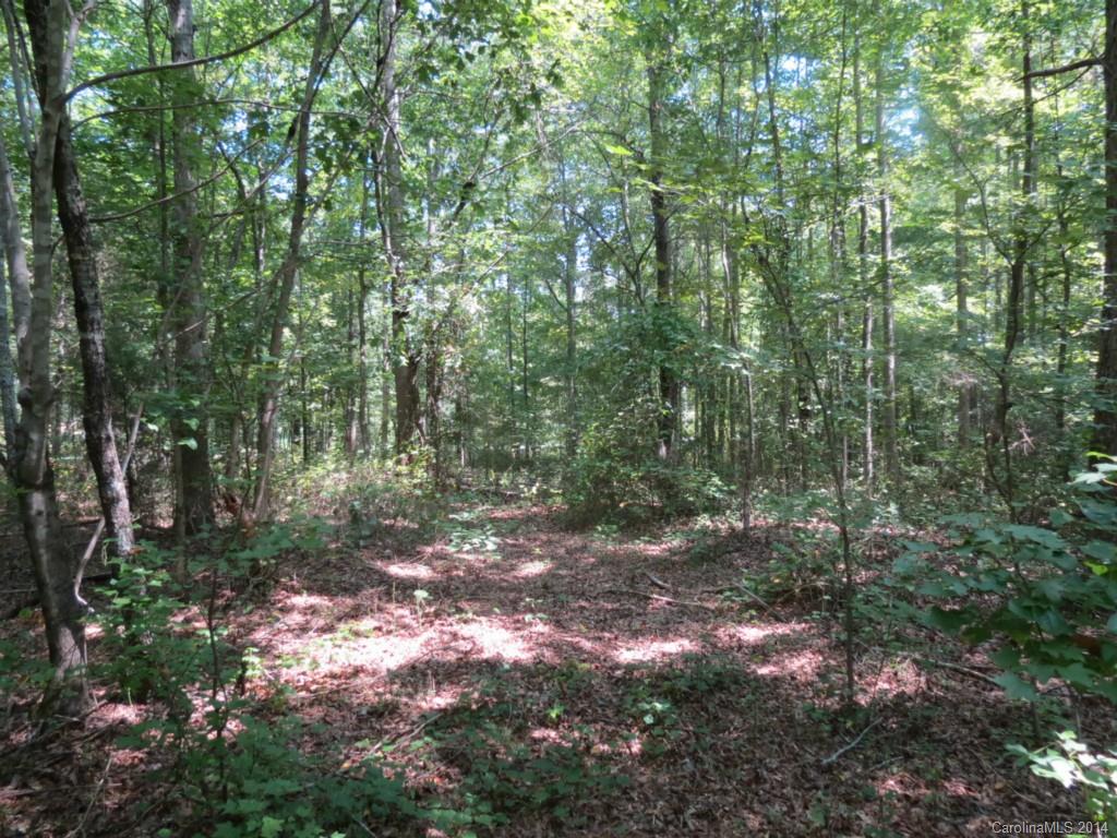 4 Griggs Road Clover, SC 29710 - Photo 14 of 16