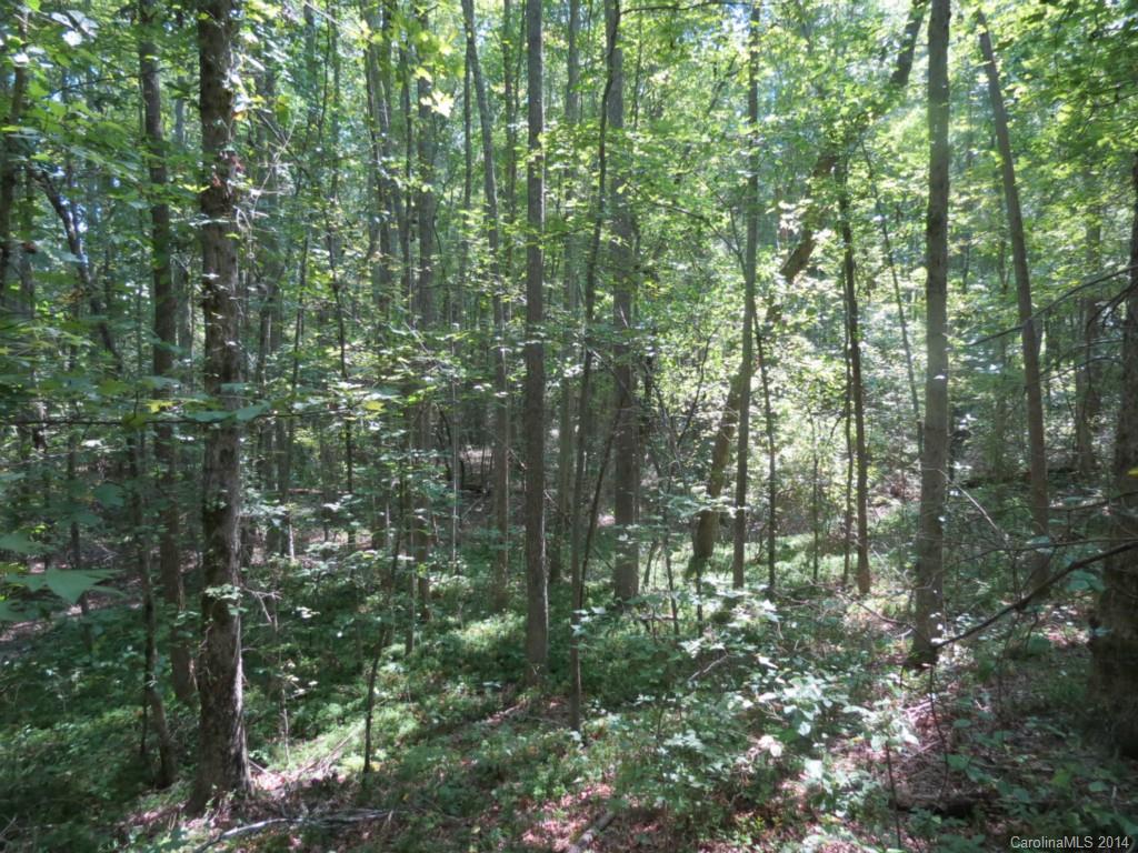 4 Griggs Road Clover, SC 29710 - Photo 15 of 16