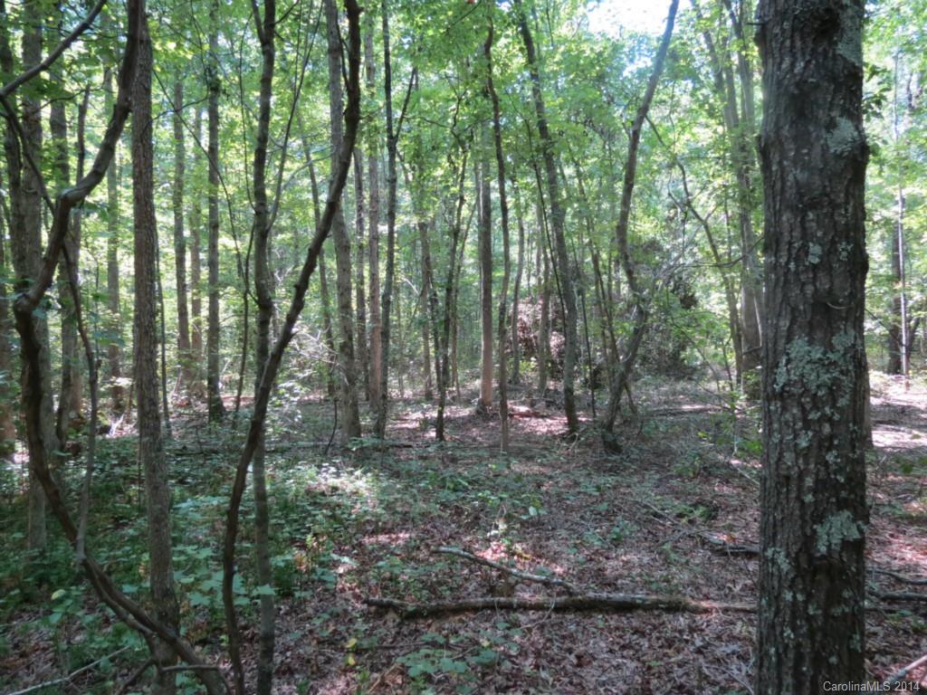 4 Griggs Road Clover, SC 29710 - Photo 16 of 16