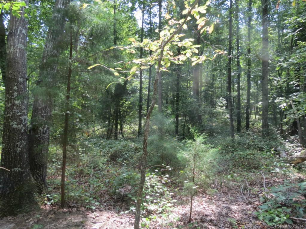 4 Griggs Road Clover, SC 29710 - Photo 6 of 16