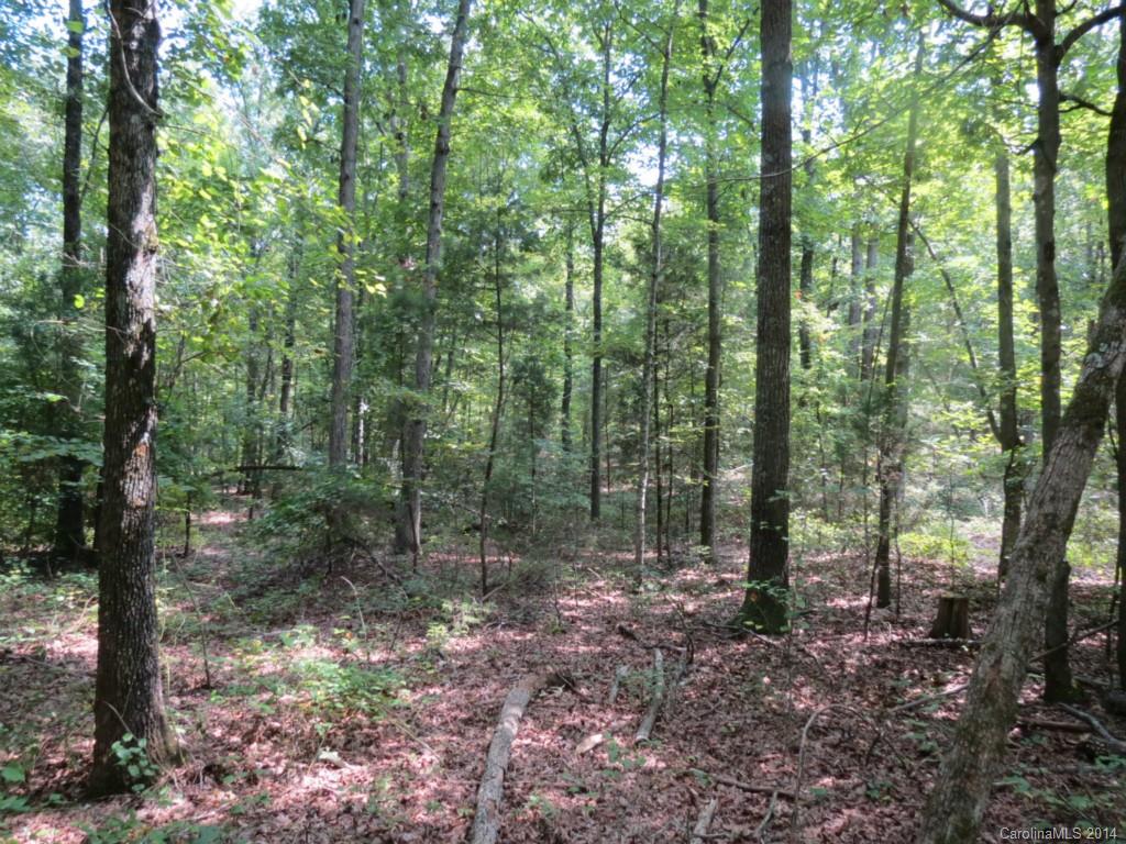 4 Griggs Road Clover, SC 29710 - Photo 7 of 16