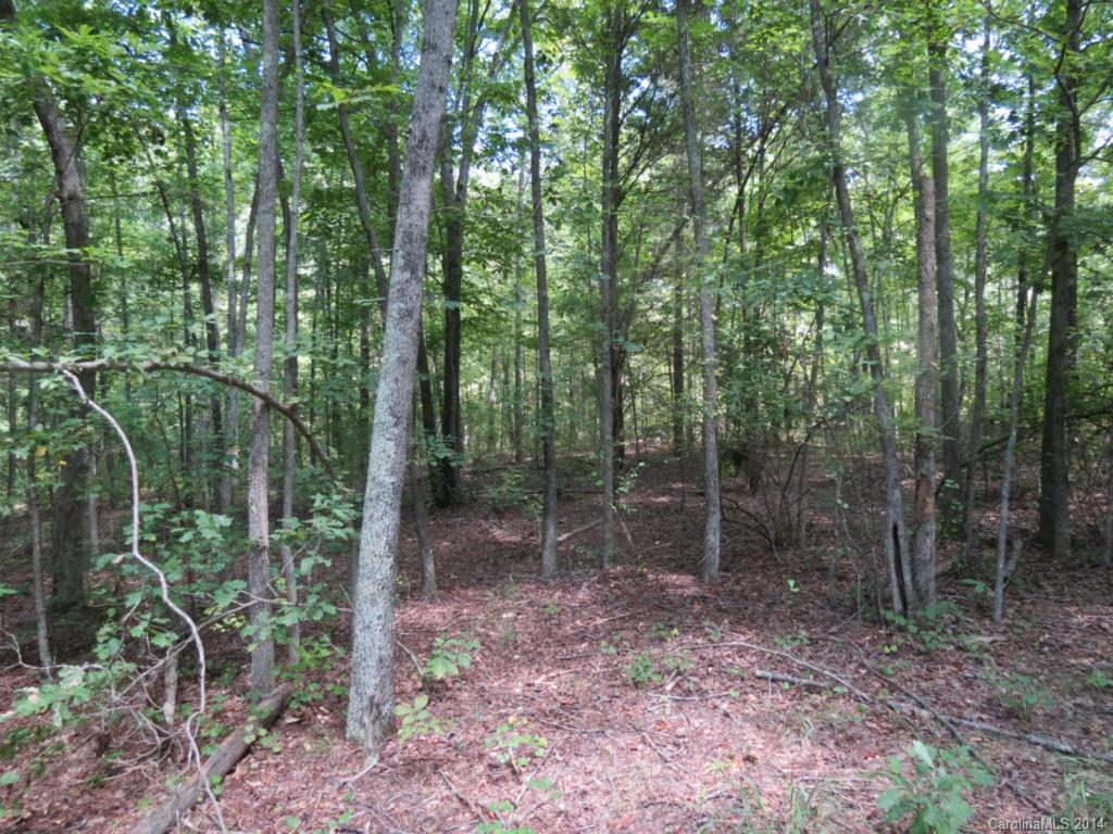 4 Griggs Road Clover, SC 29710 - Photo 10 of 16