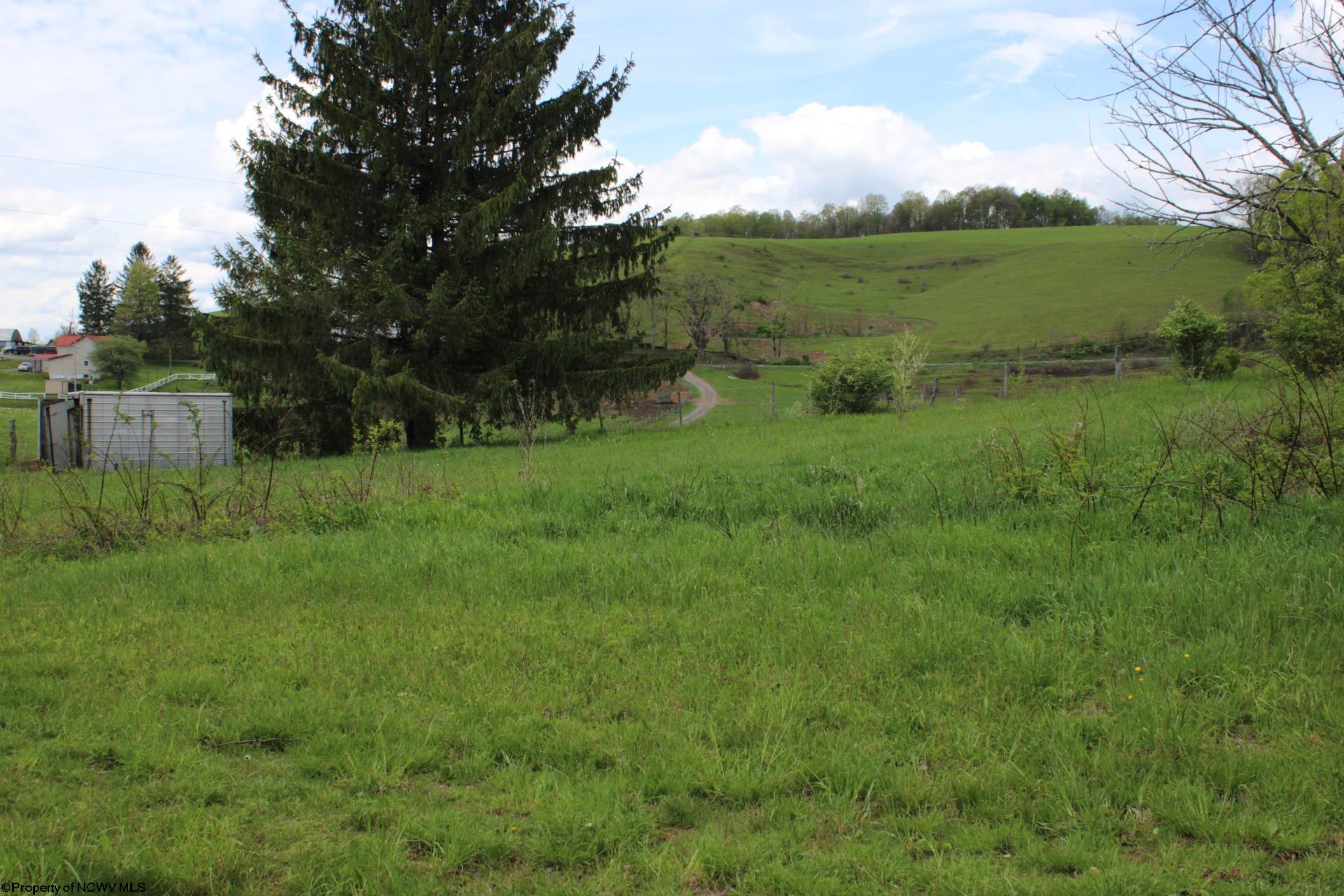 5360 Stemple Ridge Road Aurora, WV 26705 - Photo 16 of 38 Gallery Image 16