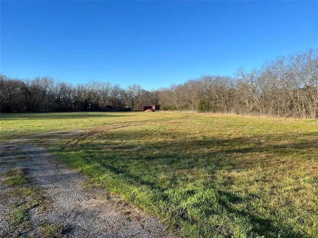 a view of a yard with an trees