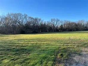 a view of a field with an trees in the background