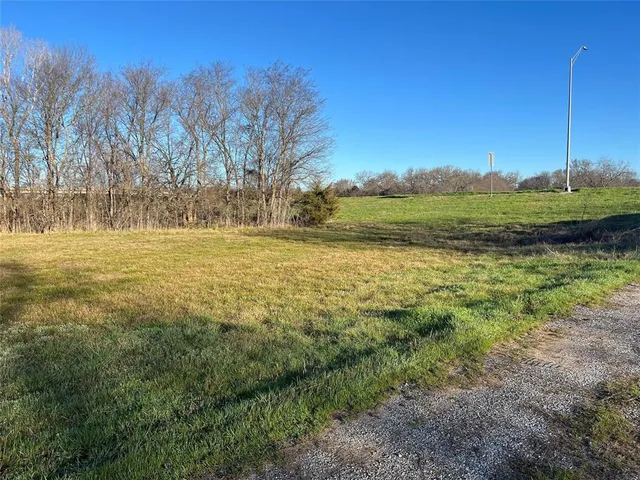 a view of an ocean from a yard