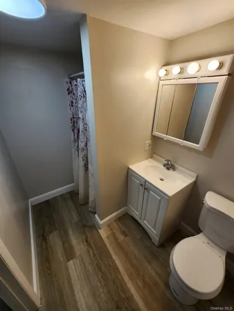 a bathroom with a sink mirror vanity and toilet