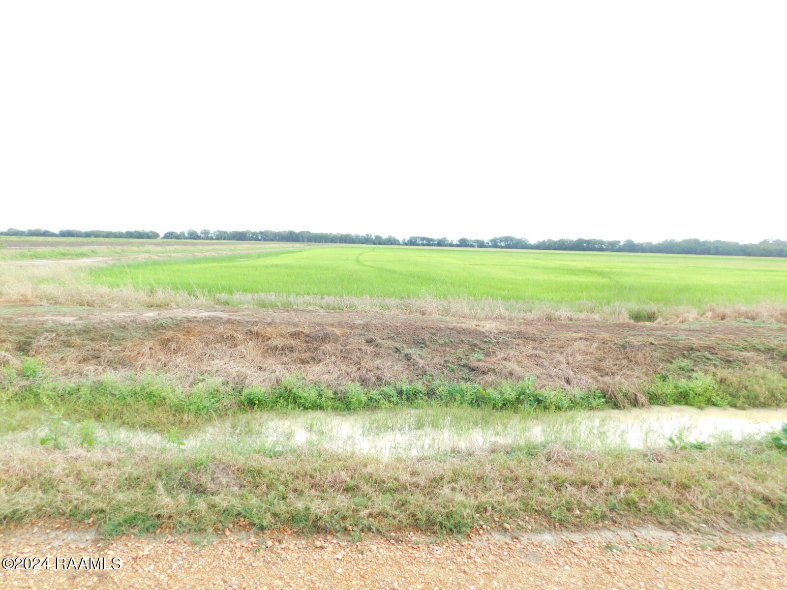 0 Gumpoint Road, Unit LOT 4A Branch, LA 70516 - Photo 3 of 4