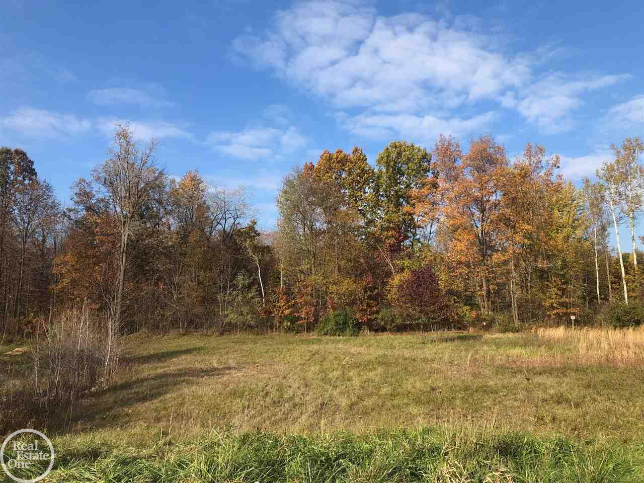 0 Bates New Baltimore, MI 48051 - Photo 1 of 3