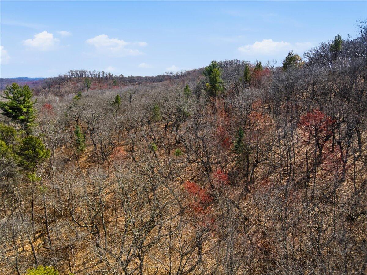 0 County Highway Mindoro, WI 54644 - Photo 12 of 23 14-DJI_0256