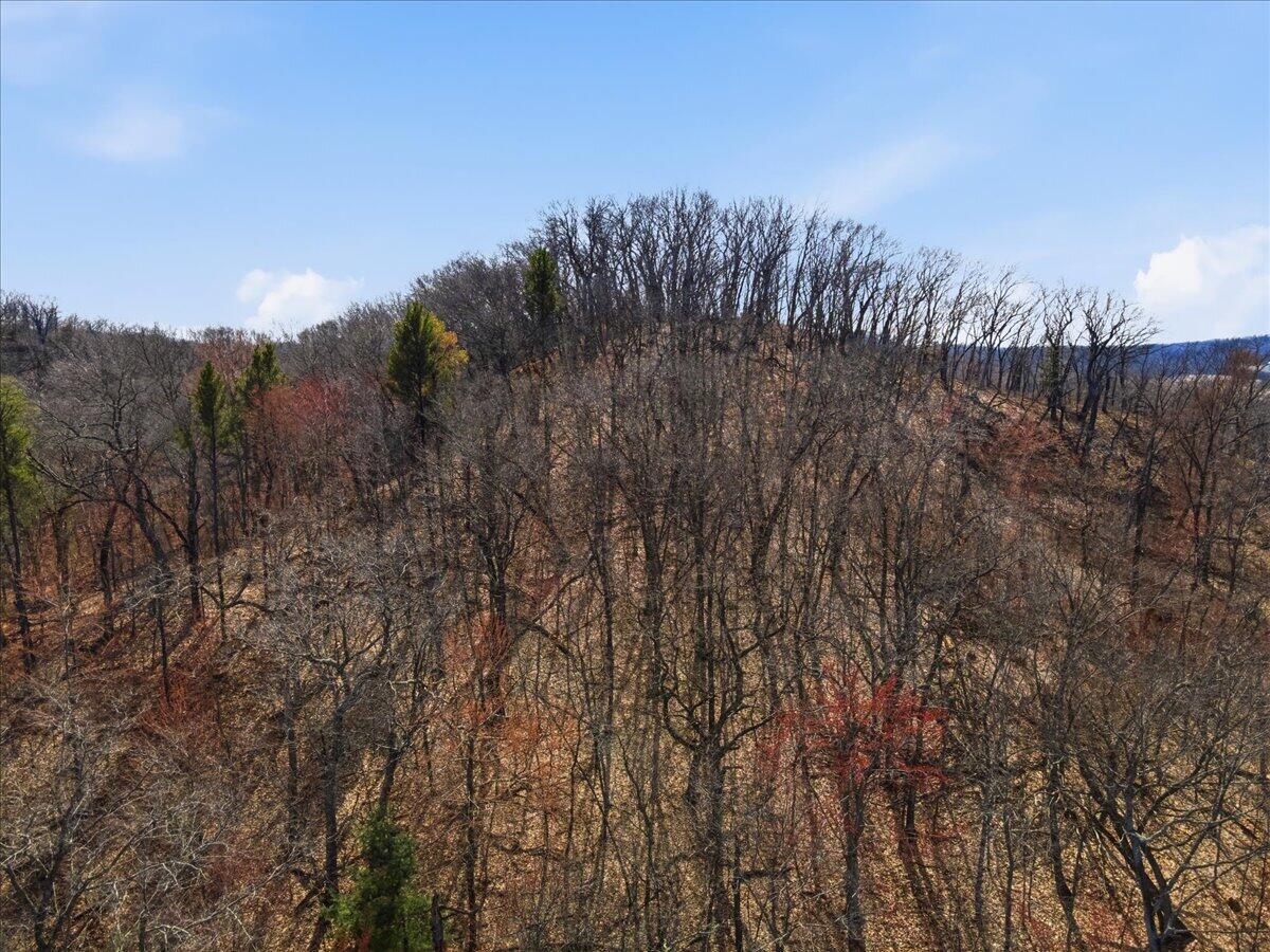 0 County Highway Mindoro, WI 54644 - Photo 14 of 23 16-DJI_0262