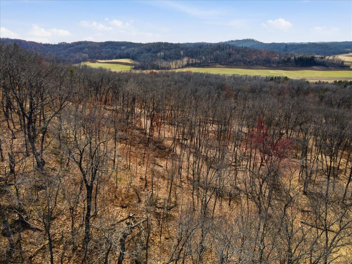 0 County Highway Mindoro, WI 54644 - Photo 16 of 23 18-DJI_0268