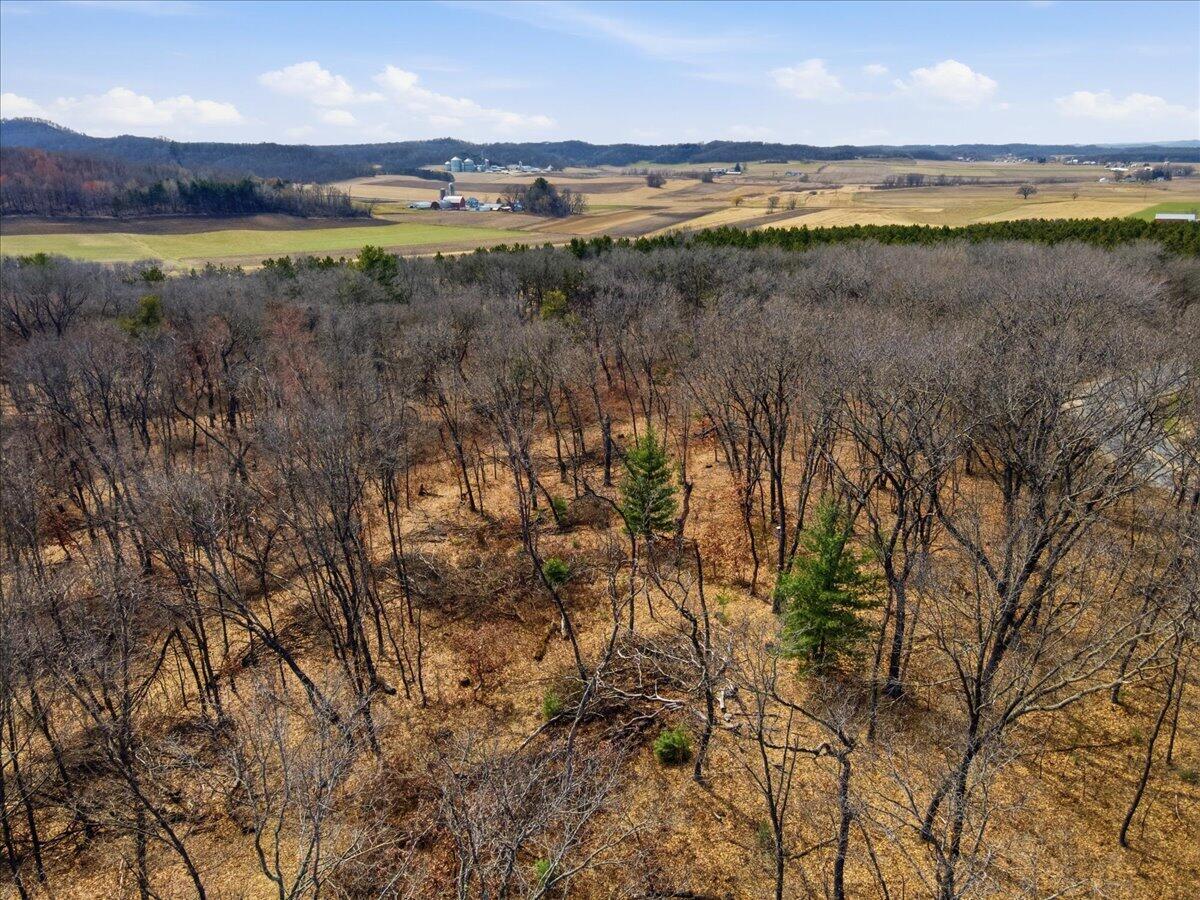 0 County Highway Mindoro, WI 54644 - Photo 17 of 23 19-DJI_0271