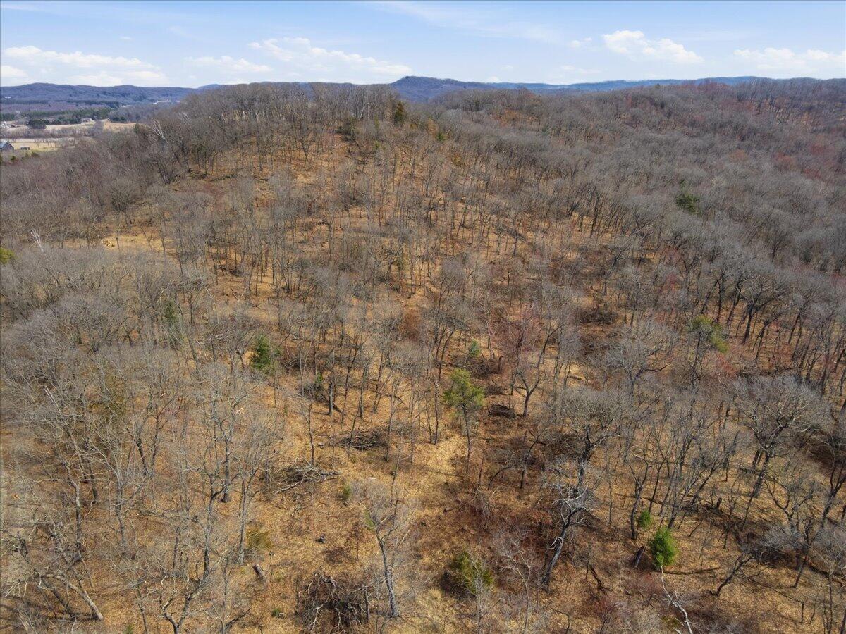 0 County Highway Mindoro, WI 54644 - Photo 19 of 23 21-DJI_0277