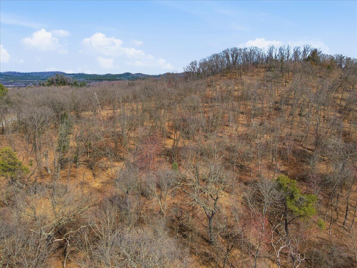0 County Highway Mindoro, WI 54644 - Photo 21 of 23 23-DJI_0292