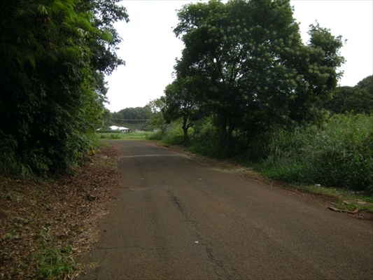 30 G Moa Road Kapaa, HI 96746 - Photo 2 of 6 a view of a road with trees in the background