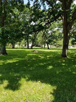 a big yard with lots of green space and trees in the background
