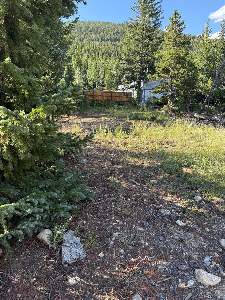 343 Aspen Road Idaho Springs, CO 80452 - Photo 5 of 17 Gallery Image 5