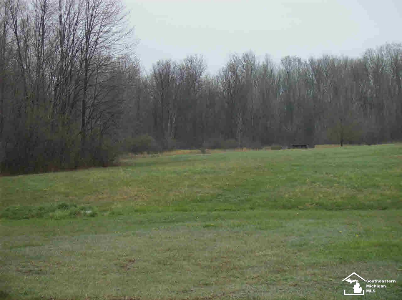 12994 Calhoun Road Milan, MI 48160 - Photo 23 of 25