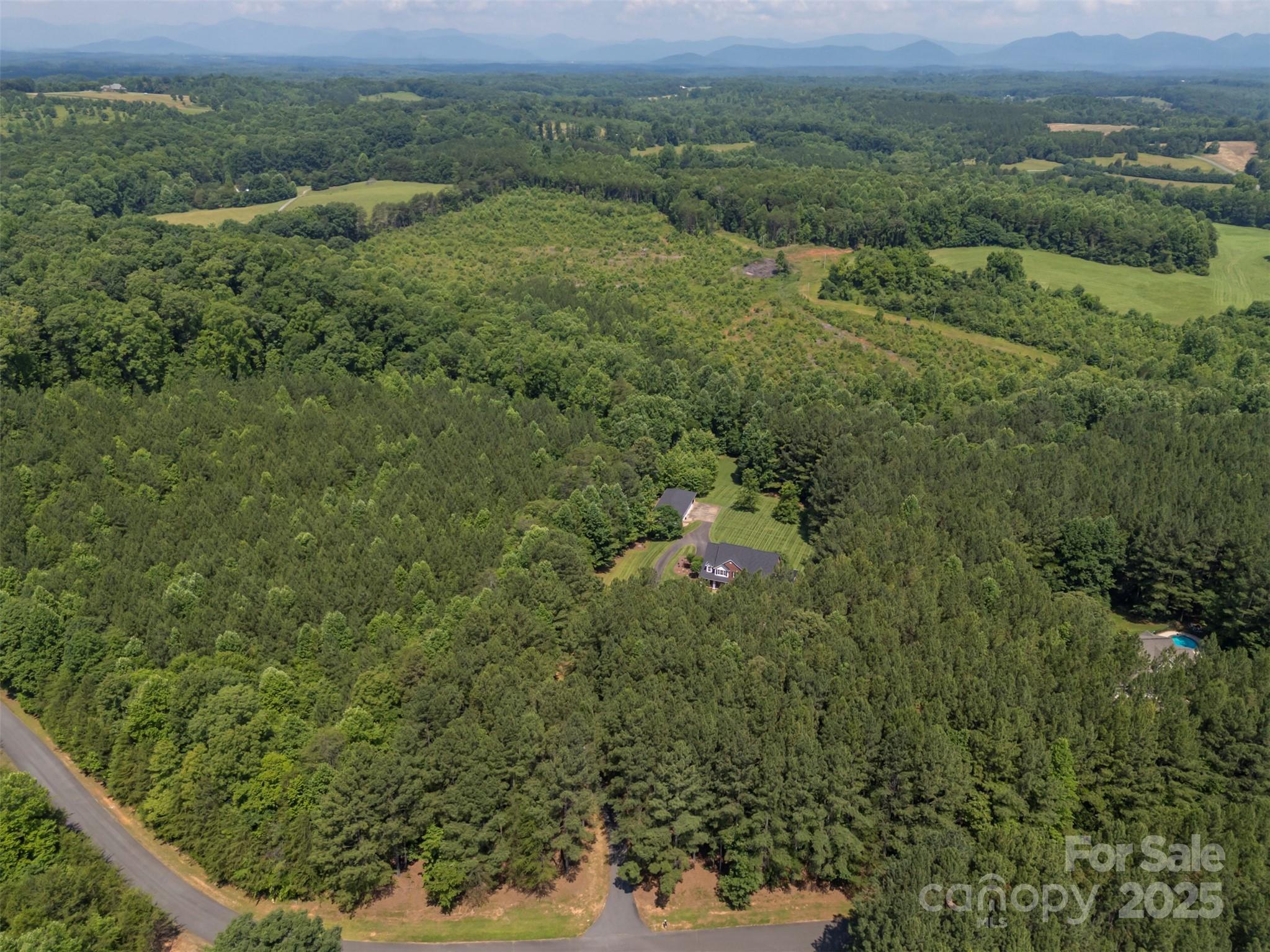 147 Pumkin Patch Road Rutherfordton, NC 28139 - Photo 4 of 47 a view of a forest with a street