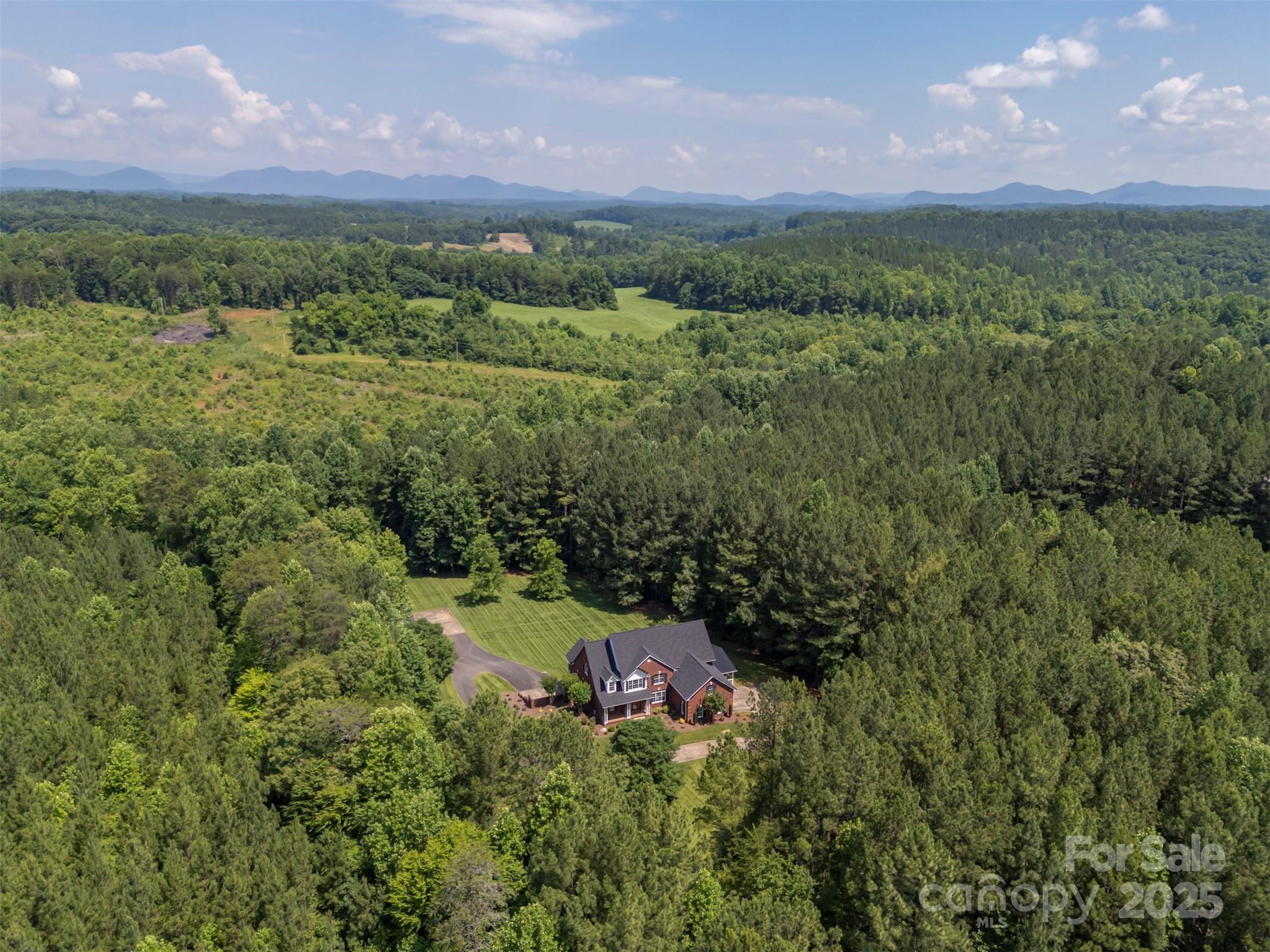 147 Pumkin Patch Road Rutherfordton, NC 28139 - Photo 47 of 47 a view of a lush green forest with a yard and mountain