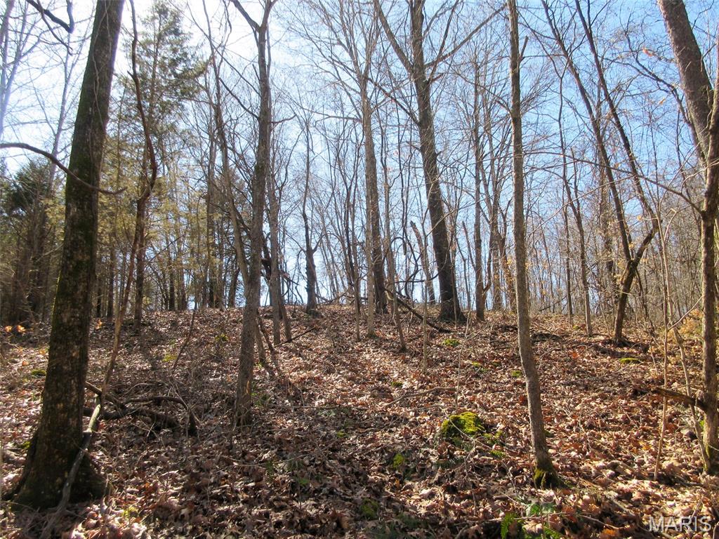 10331 Hopkins Road Potosi, MO 63664 - Photo 41 of 76