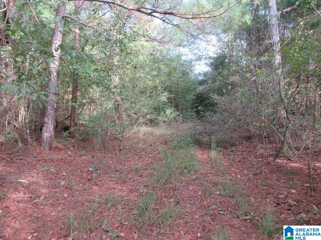 0 Cherry Street, Unit 1 Talladega, AL 35160 - Photo 4 of 10